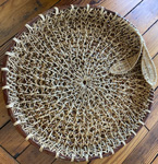 Anne Scarpa McCauley